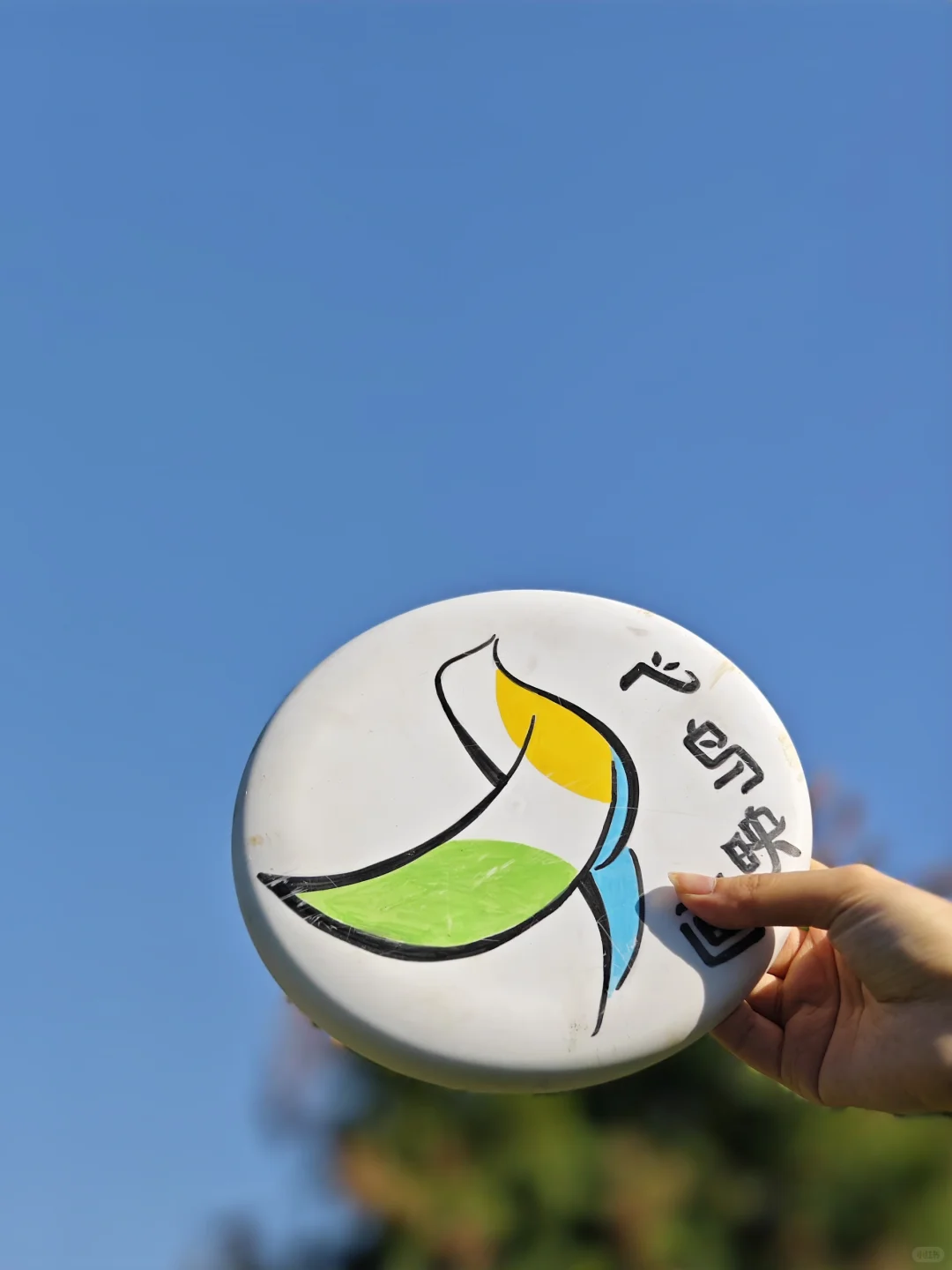 向你投送一个丙烯飞盘