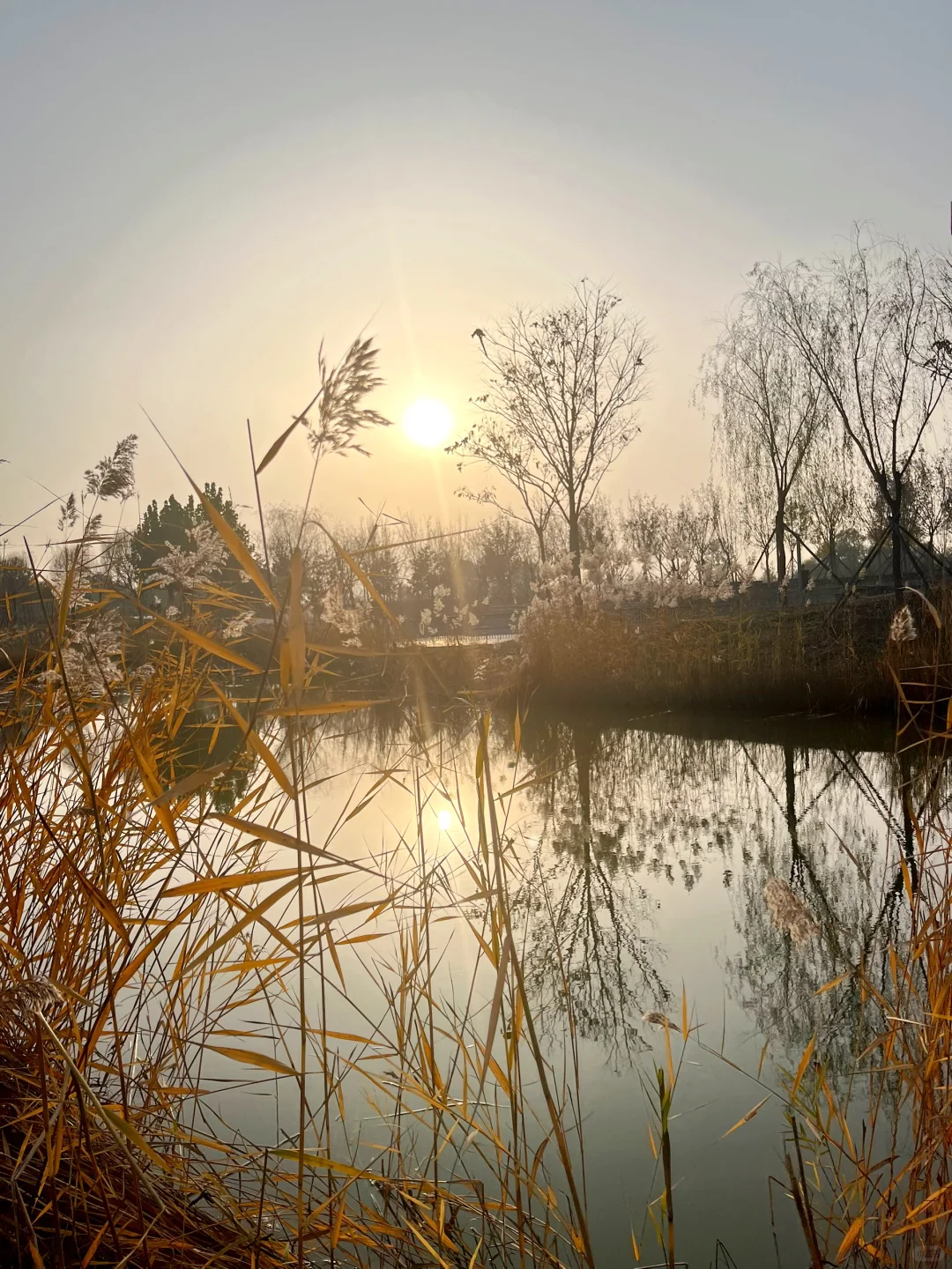 刚上五环,油箱表变红了,我擦,慌得我一批