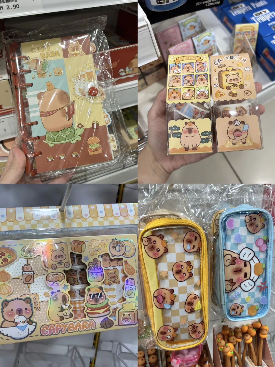 ??MR.DIY你也太卷了..一系列Capybara周边