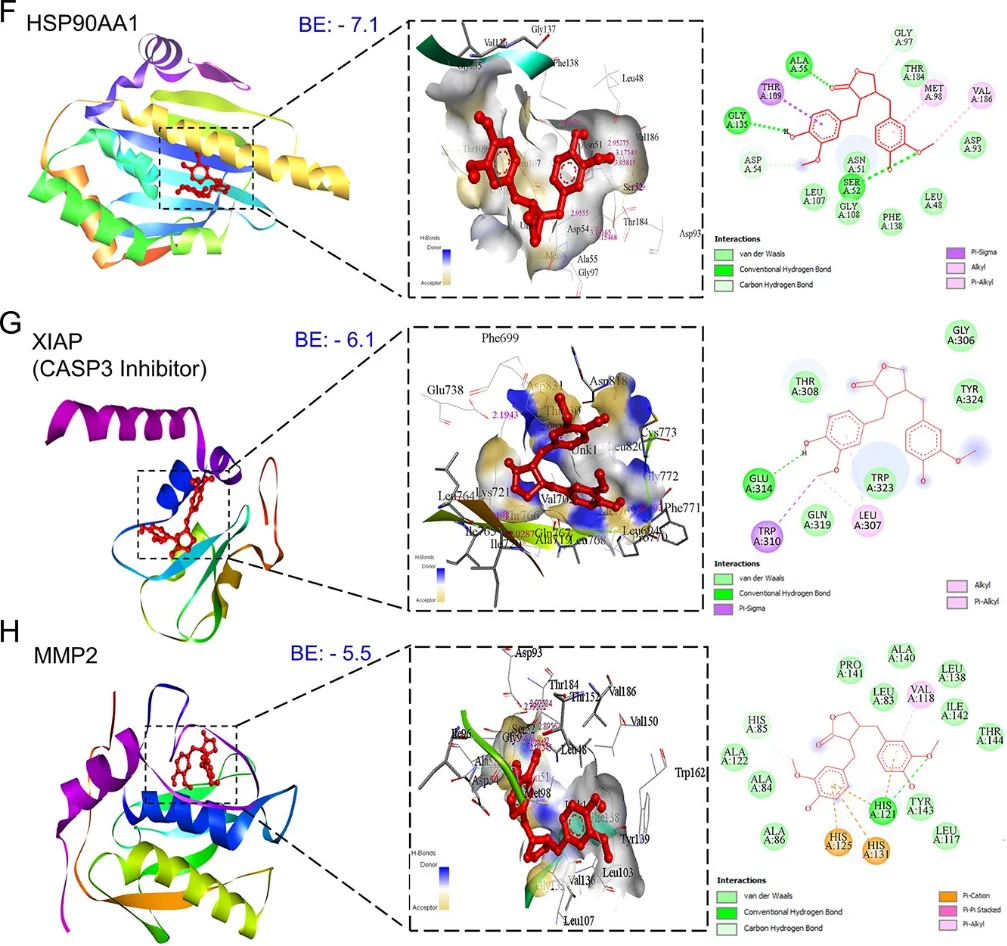 IF8.7网络药理学+生物信息学