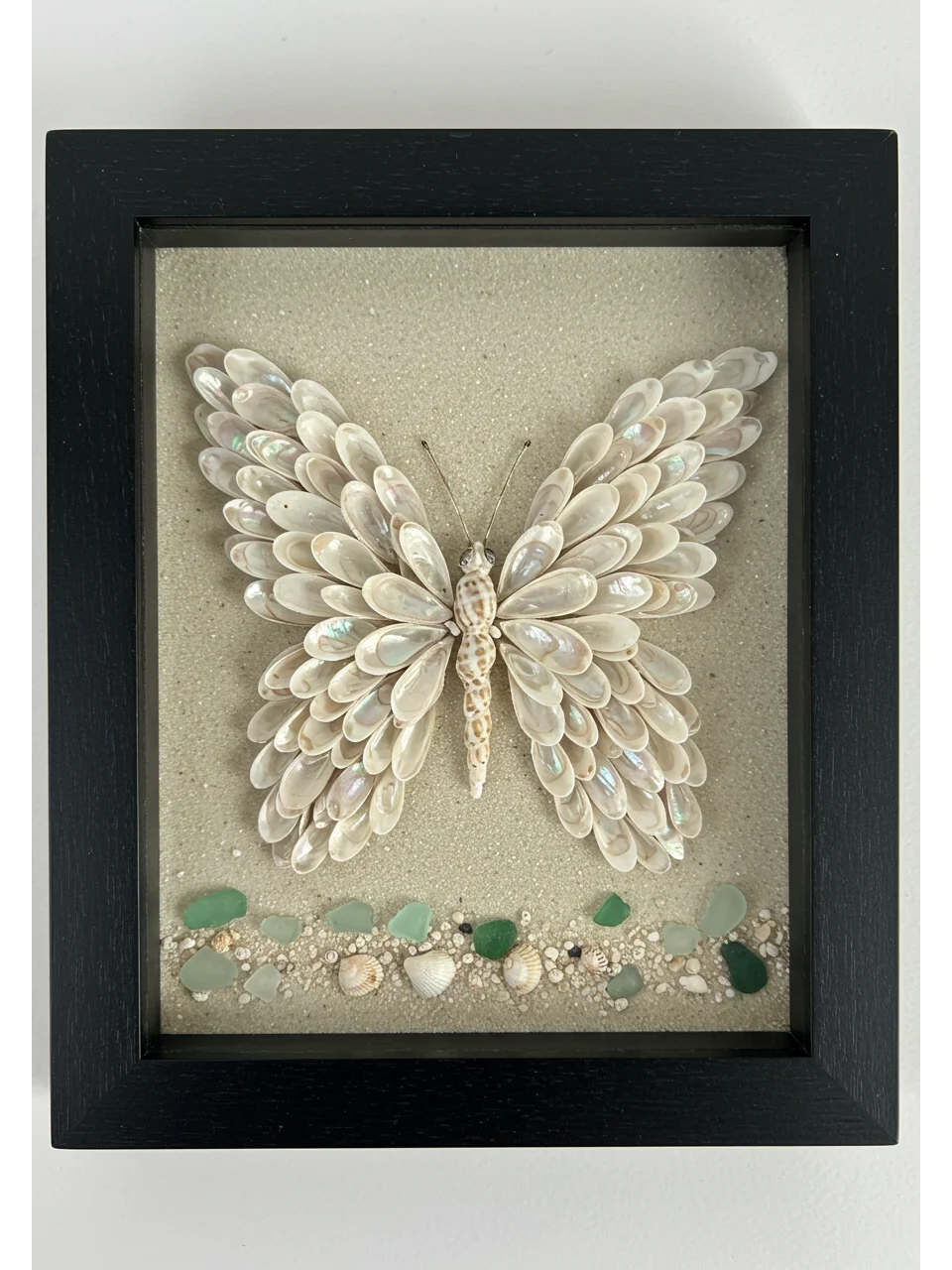 ?一秒穿越到海边!?贝壳DIY蝴蝶?