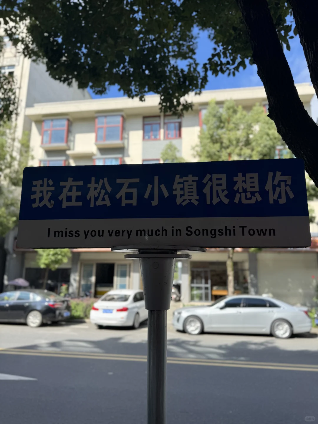 堵车真要命啊