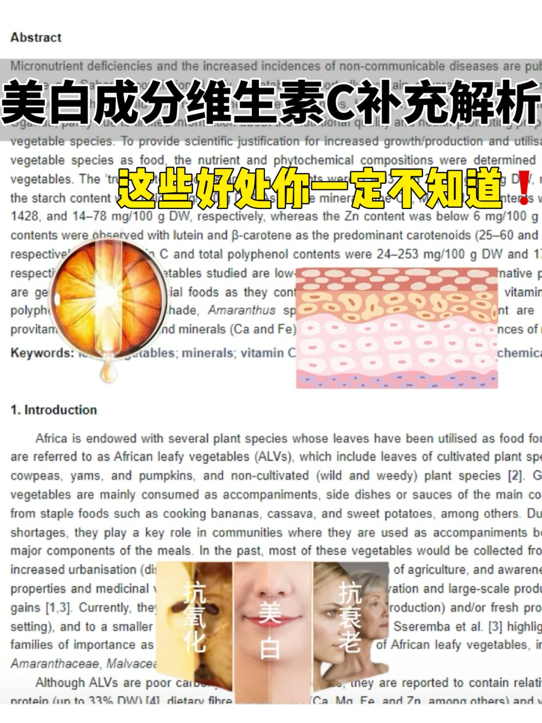 医学生深度解析！维生素C的护肤“超能力”