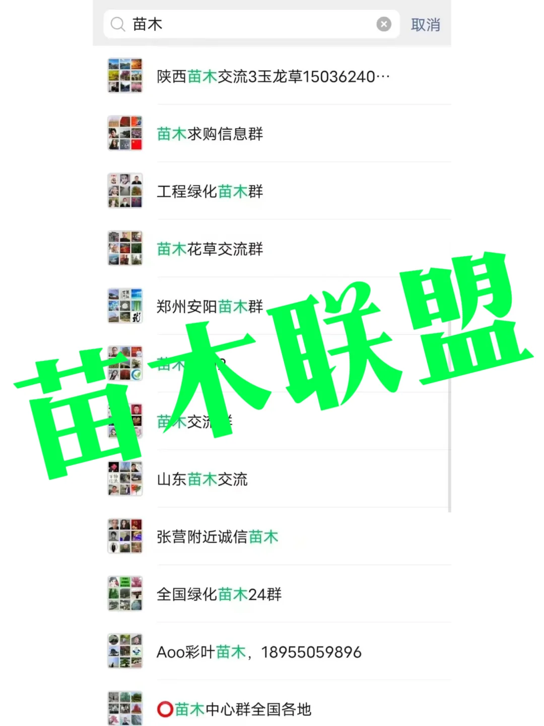 ?苗木人速来！全国工程/绿化/稀缺品种资