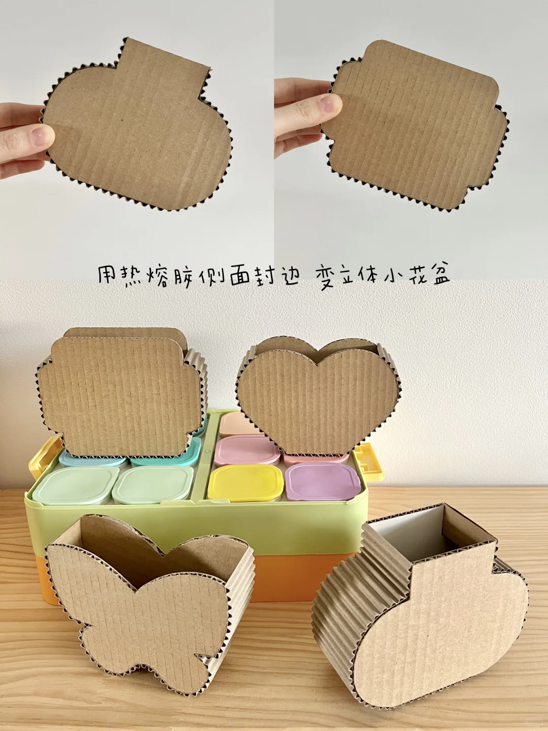 创意手工｜纸板+鸡蛋拖DIY小花盆栽?