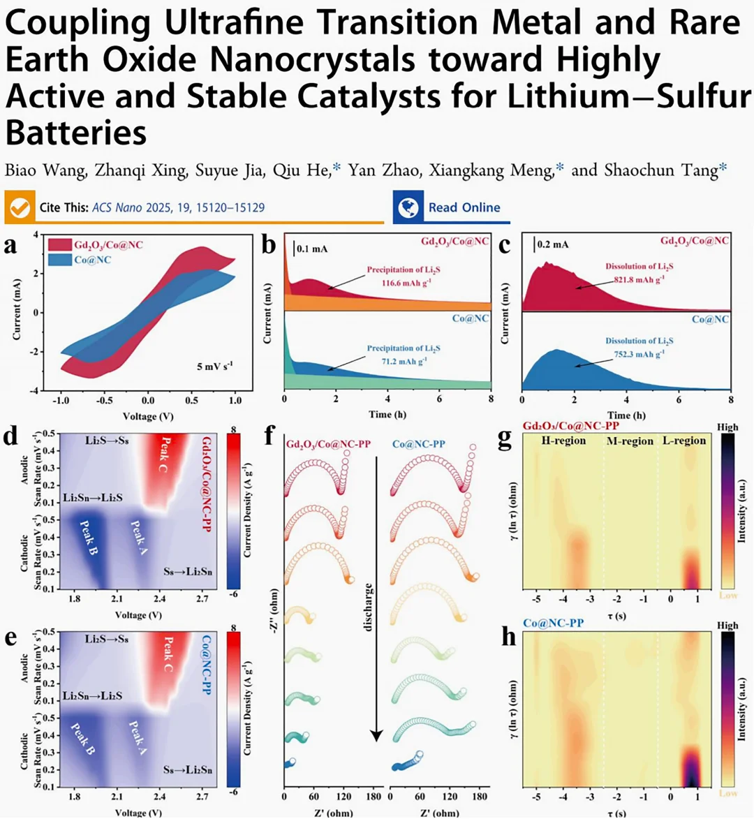 文献精读分享20
