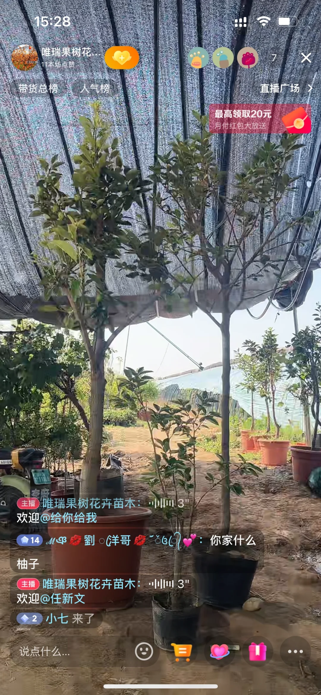 抖音卖树苗的骗子