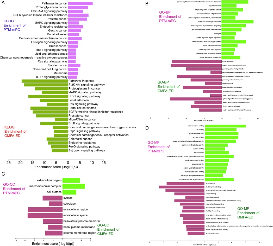IF8.7网络药理学+生物信息学