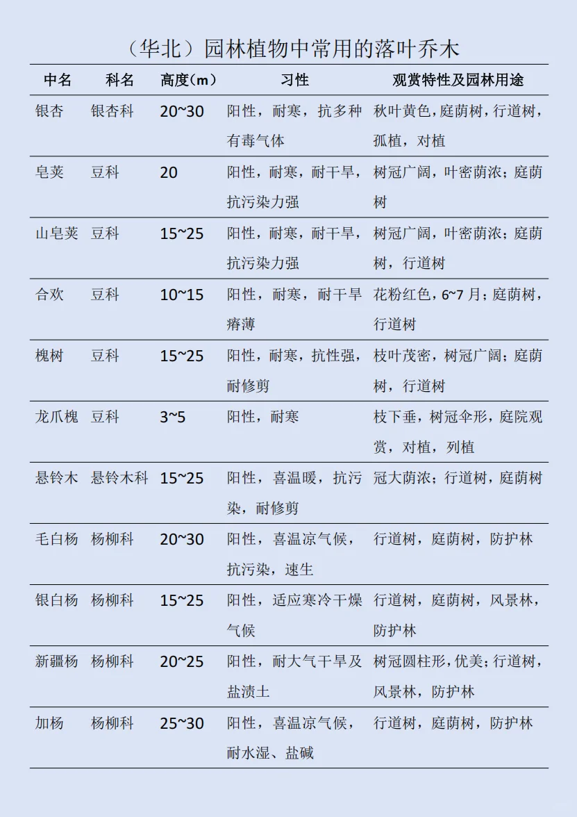 华北｜园林植物中常用的落叶乔木及共性总结