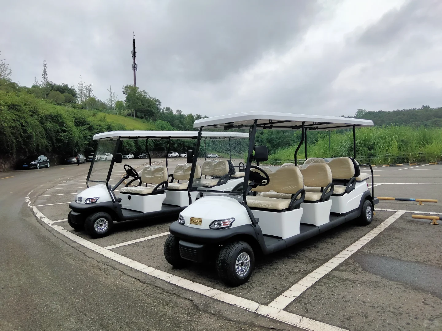 6座电动高尔夫球车