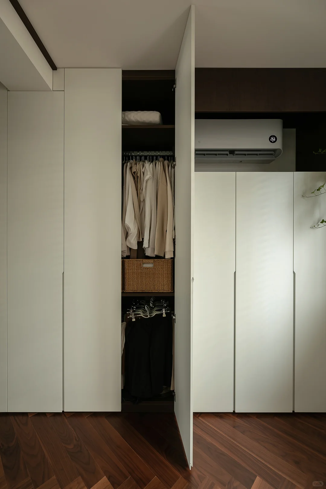 老公房逆袭！一人两猫的森系混搭共生小家