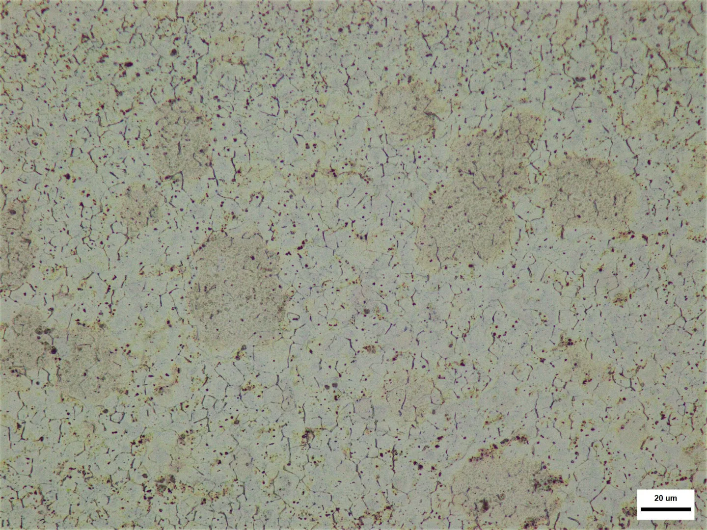 求助镁合金金相制备