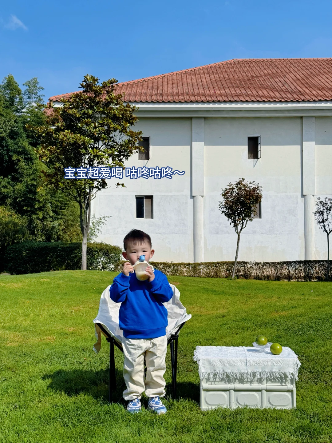 养成元气肉宝的秘诀：选对“肚肚神队友！