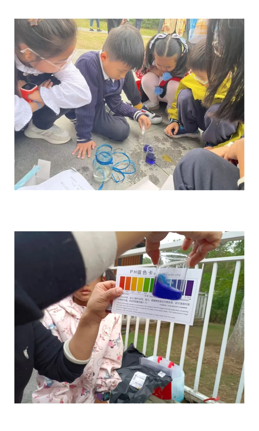 一场与沙湖湿地的相遇，更是一次成长的反思