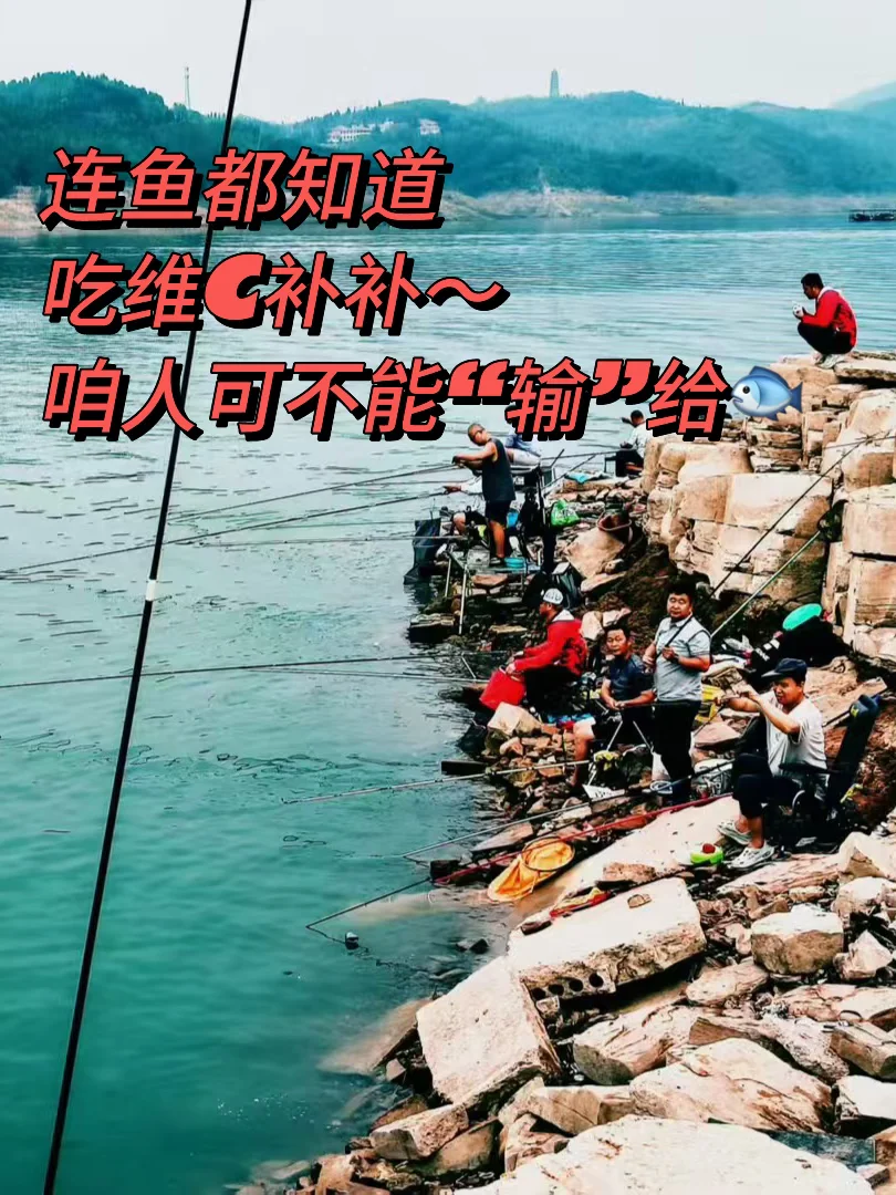 维生素C的功能｜必看