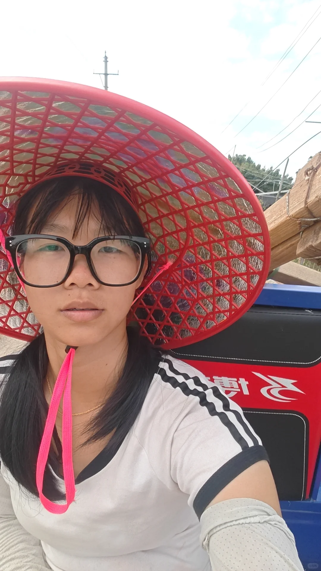 苗木人，太难了?