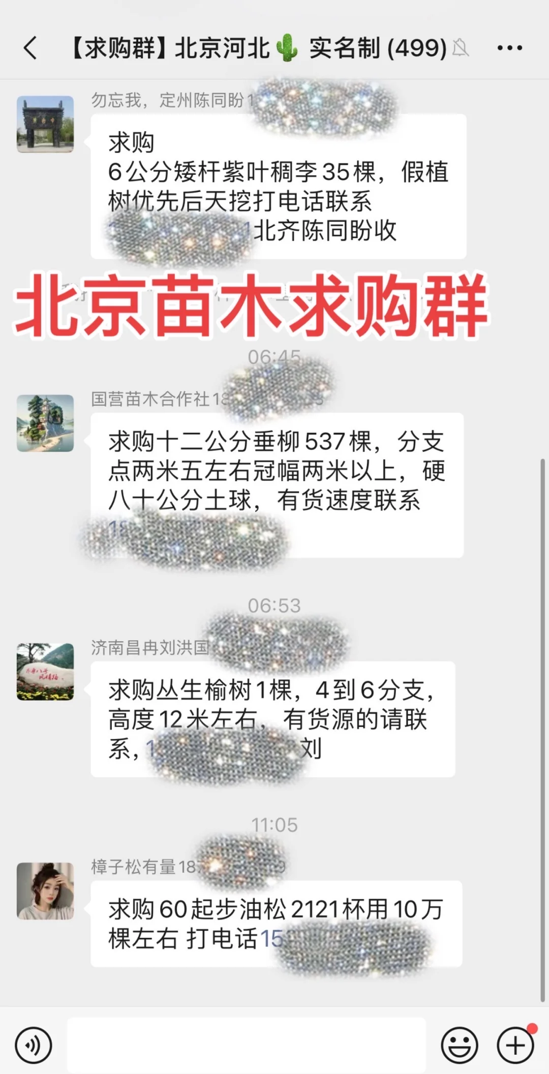 北京苗木求购群