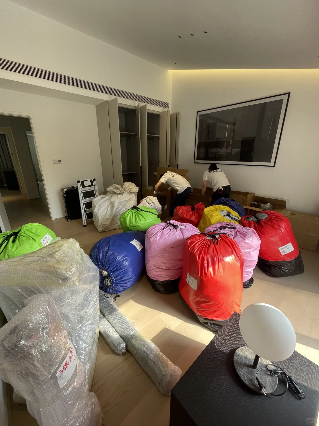 南山别墅整理进行中，小姐姐从上海穿越深圳