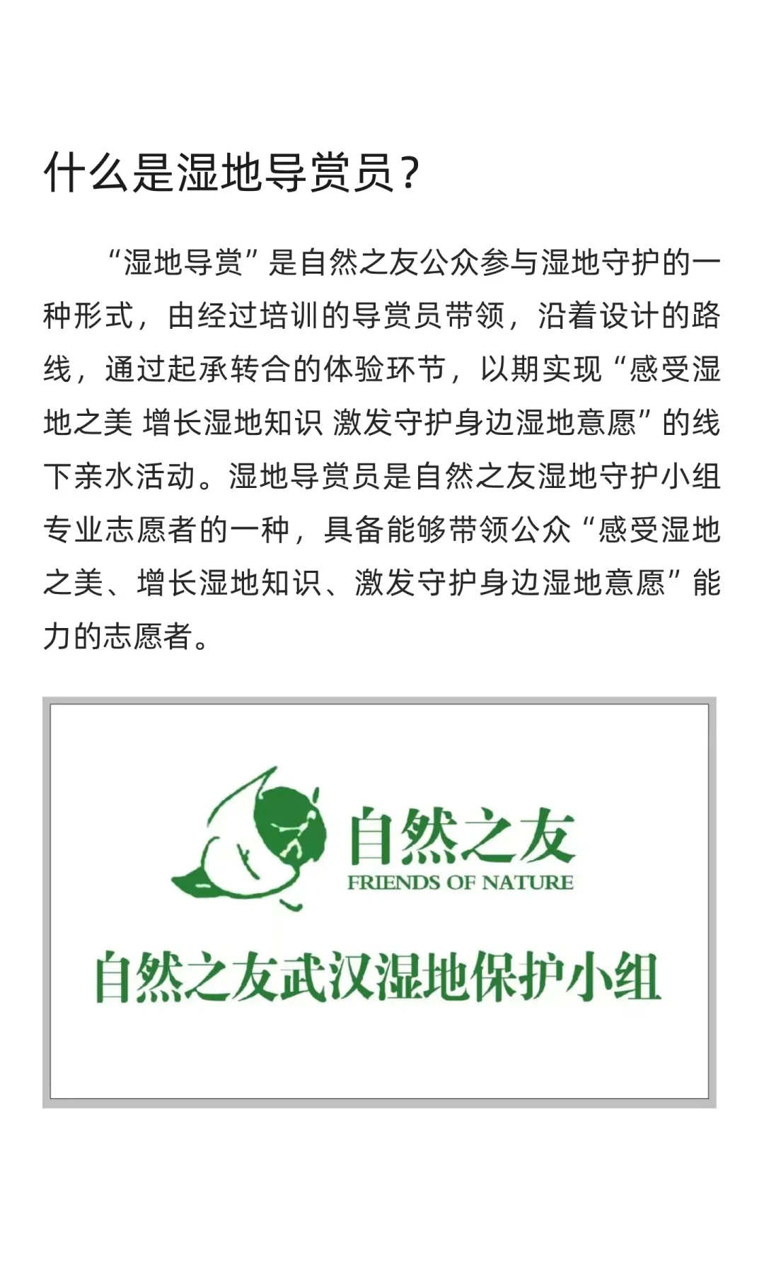 一场与沙湖湿地的相遇，更是一次成长的反思