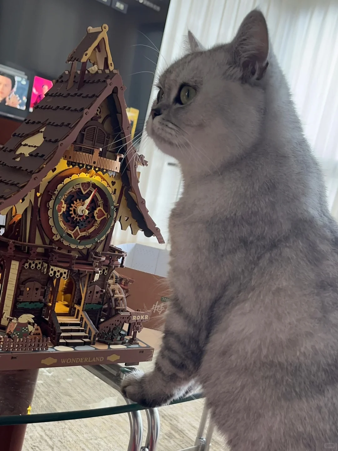 耗时两天，终于拼完了，希望回南天不要发霉