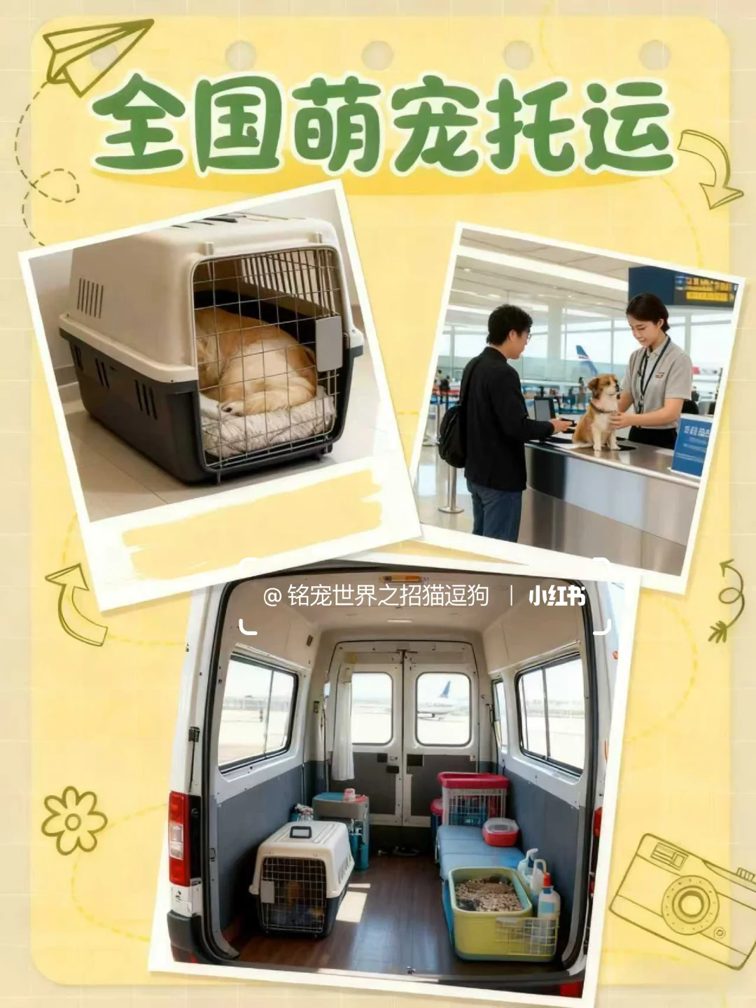 北京养宠人狂喜?挖到一家神仙犬舍！