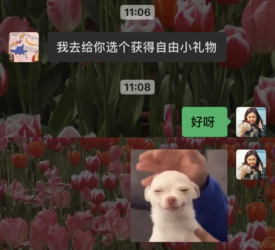 只差一个会做饭的人了