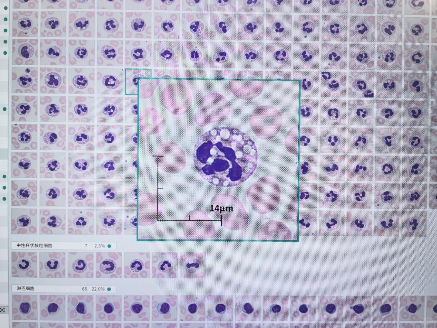 此“Jordan”非彼“Jordan”