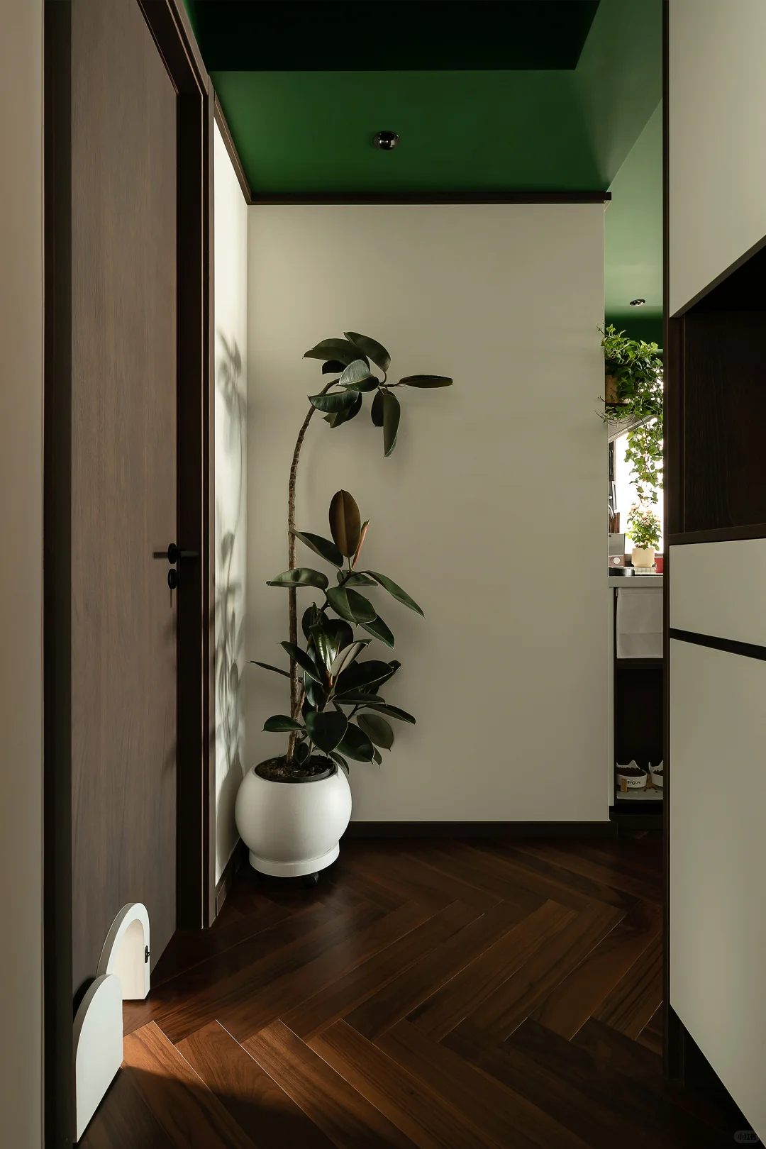 老公房逆袭！一人两猫的森系混搭共生小家