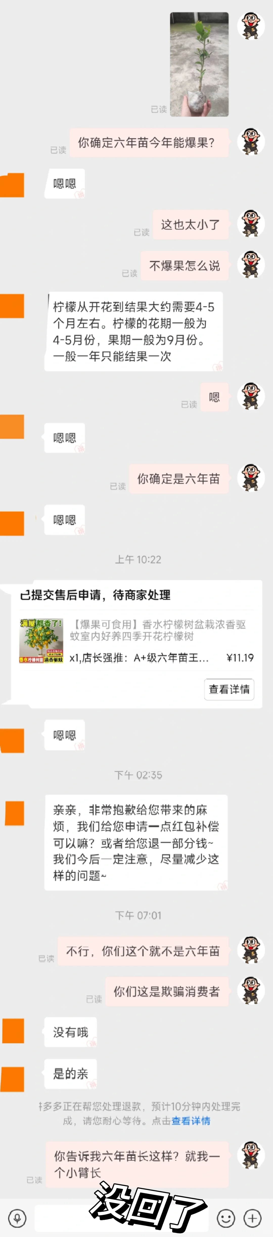 这是精品六年苗香水柠檬吗