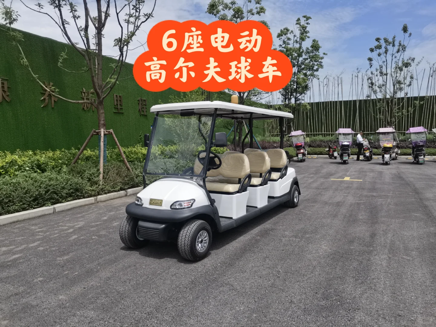 6座电动高尔夫球车