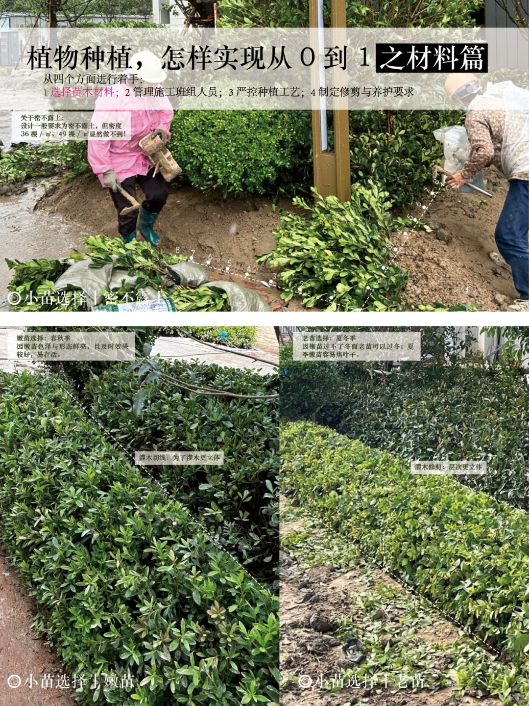 植物种植，怎样实现从0到1（材料篇）