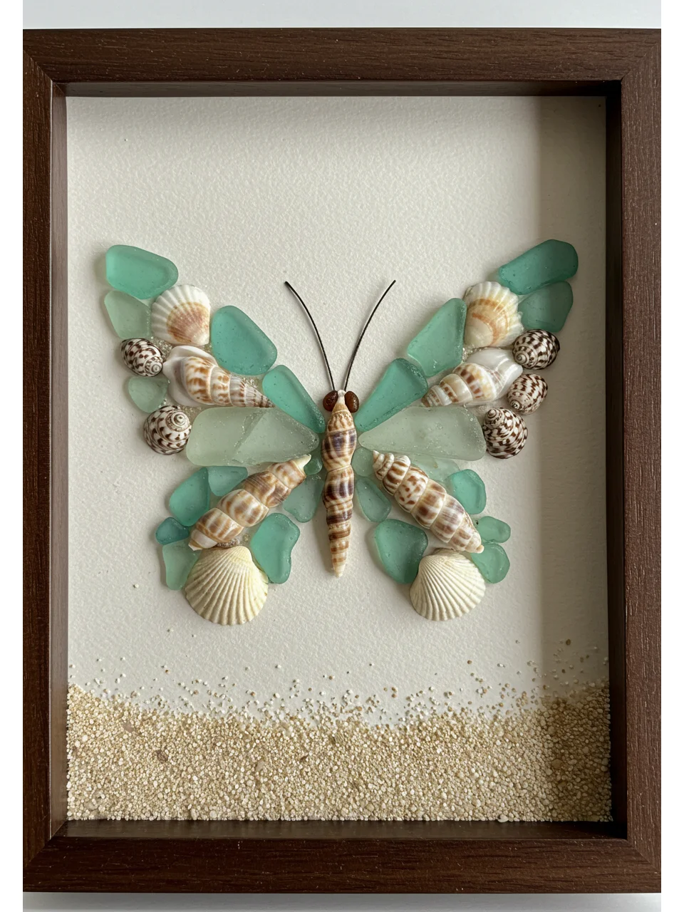 ?一秒穿越到海边!?贝壳DIY蝴蝶?