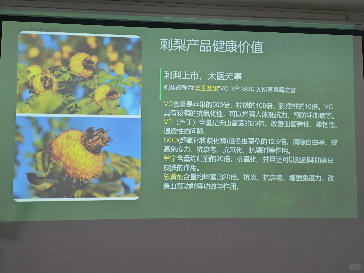 这个野果你们吃过么？