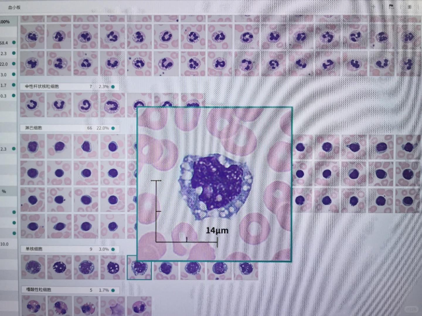 此“Jordan”非彼“Jordan”