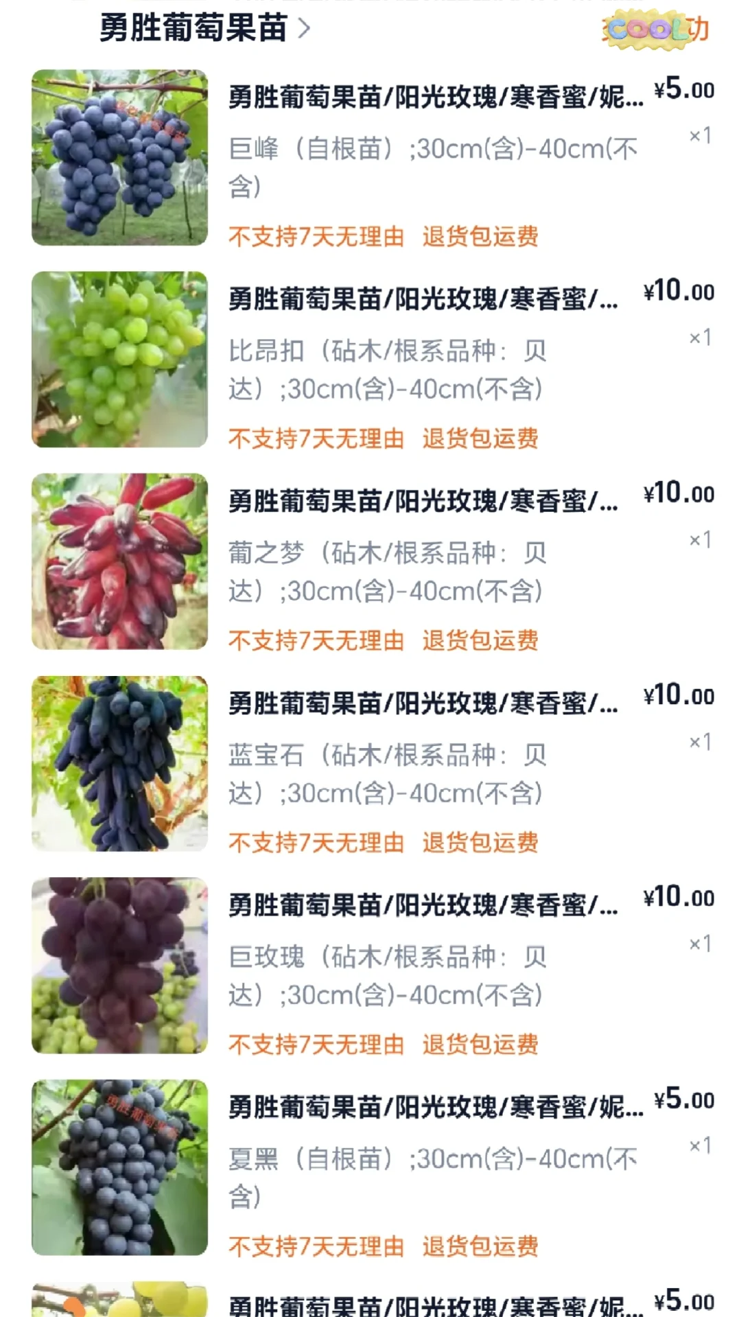 葡萄苗靠谱店铺大全（2块一棵，快冲）