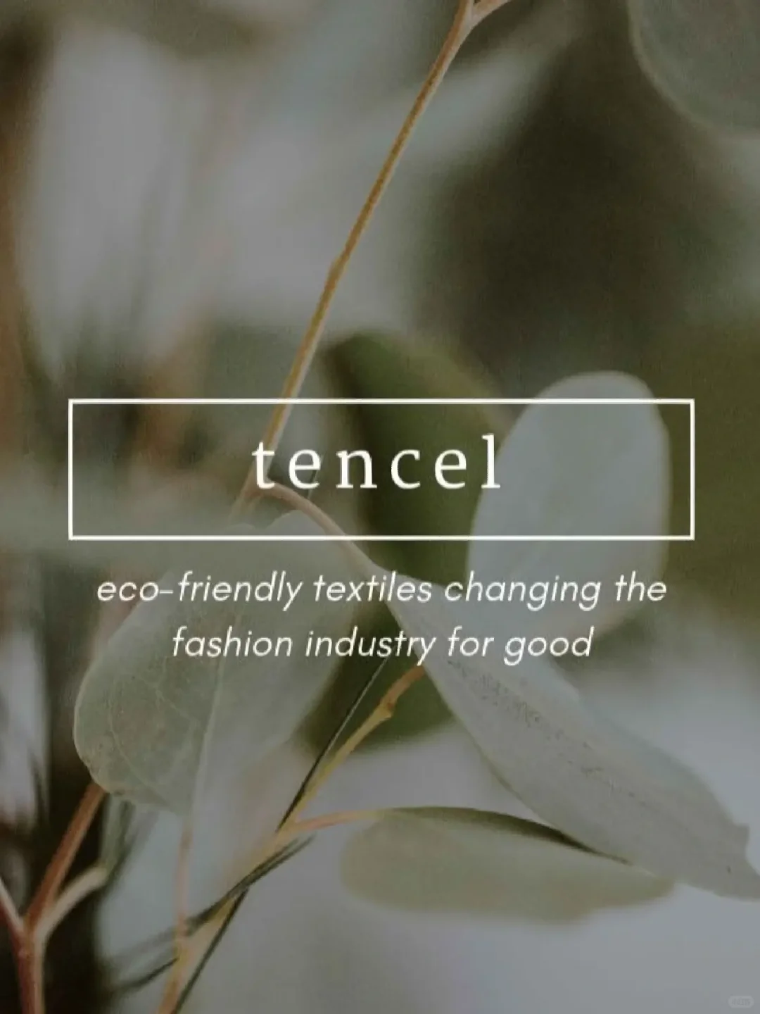 ?️时尚专业必备:可持续材料你了解多少?