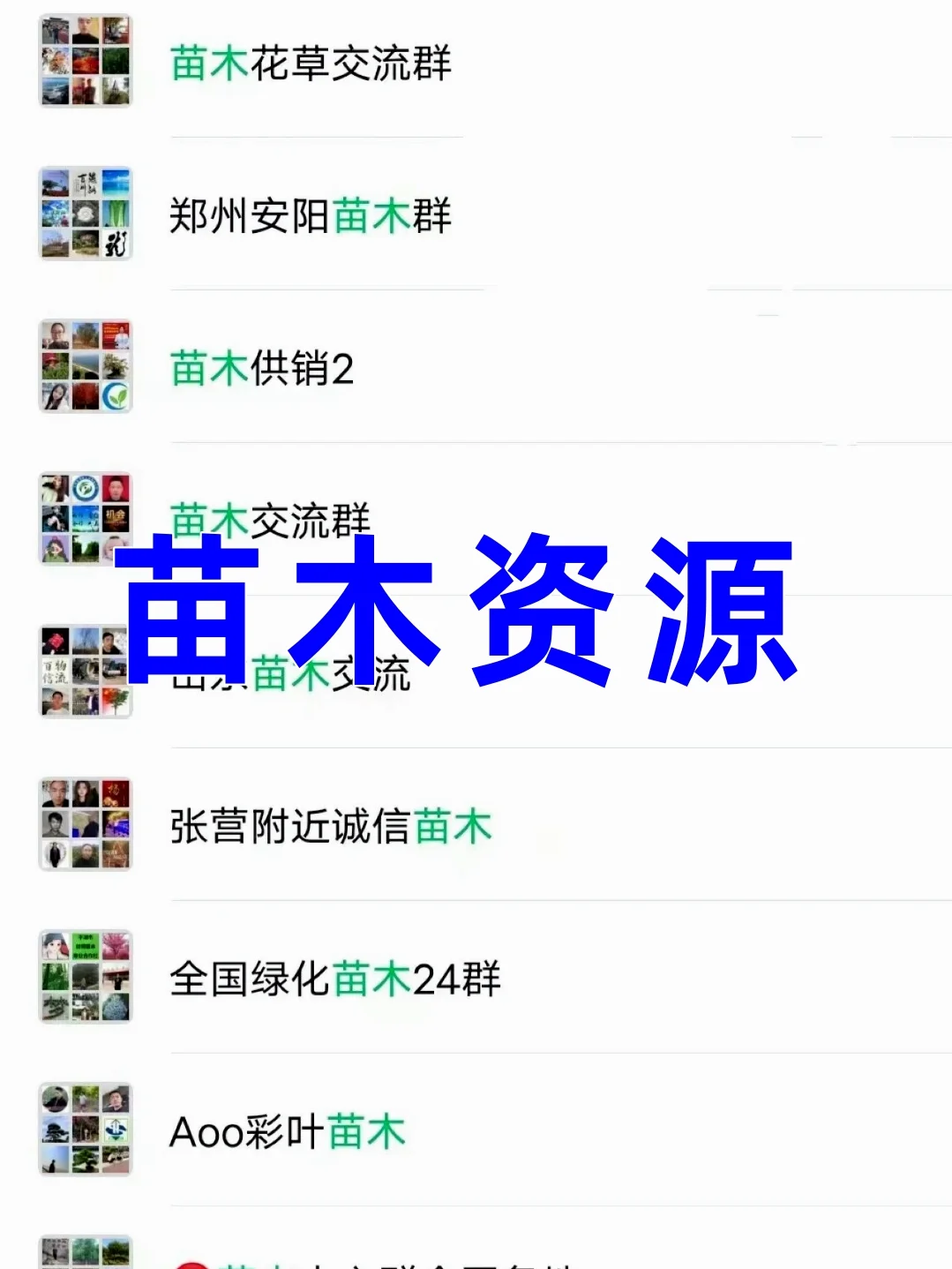 苗木人速藏！行业内部硬核资源宝库大曝光！