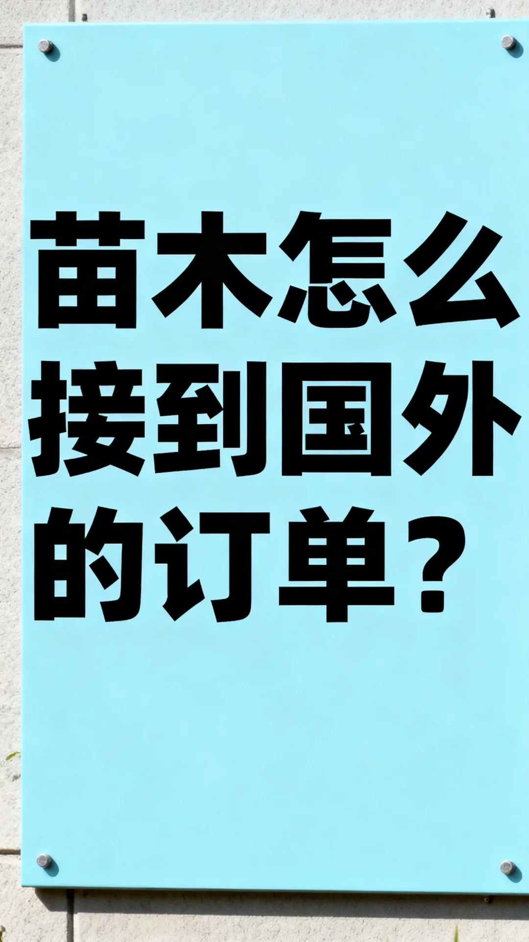 看看卖树老怎么找到海外客户