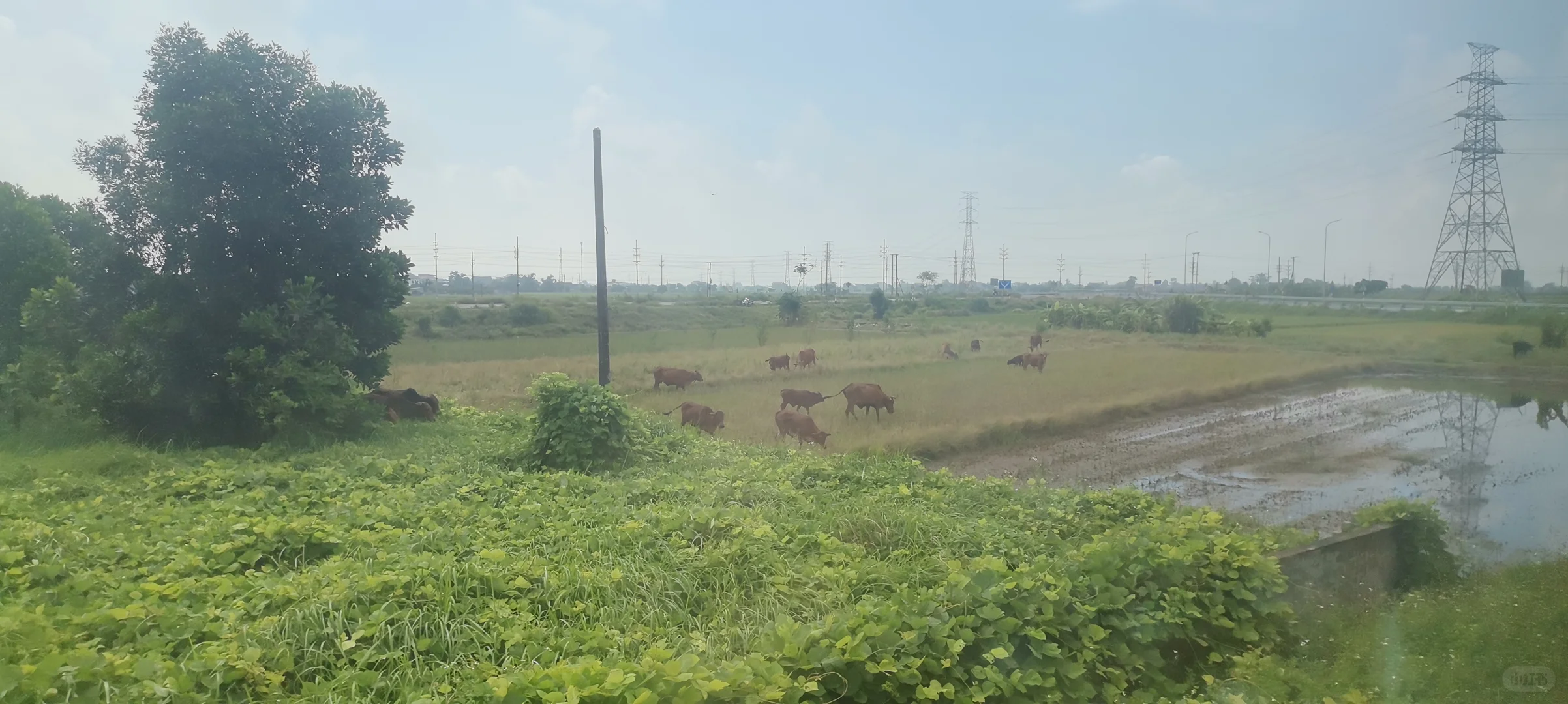 [旅行分享]西贡—成都火车之旅行程规划