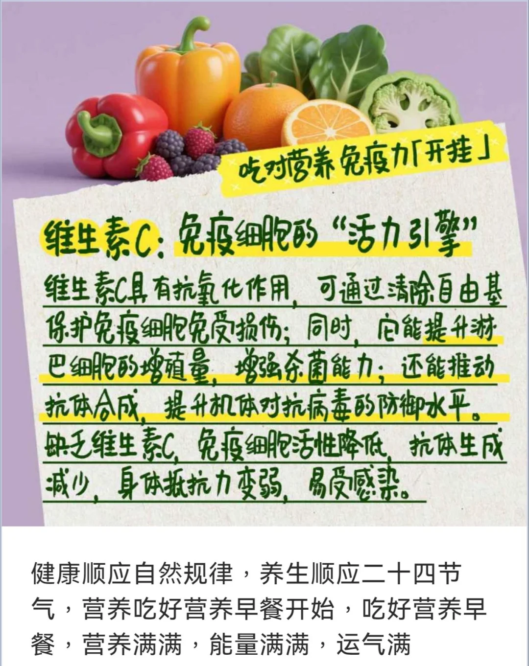 维生素C，是免疫细胞的“活力引擎”。