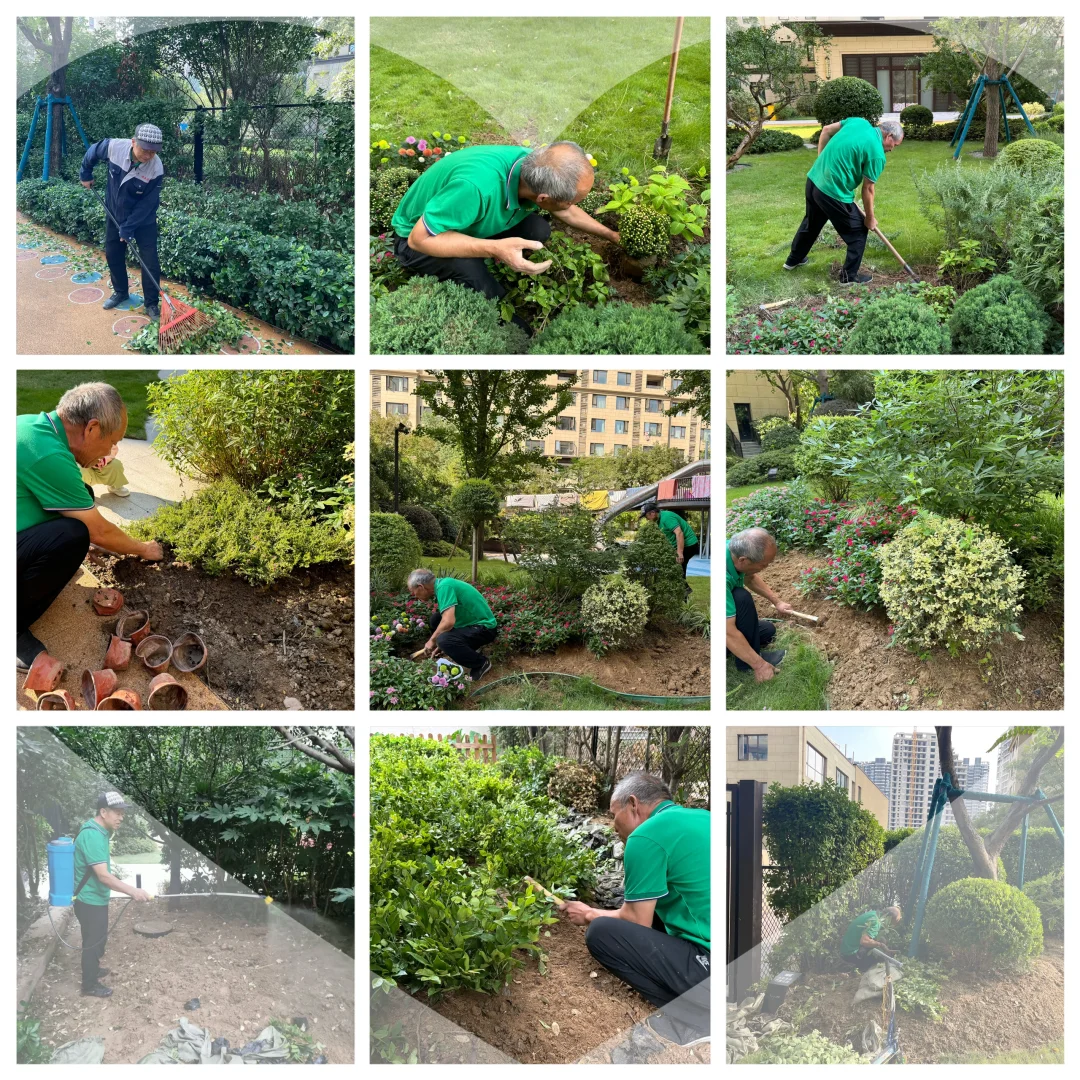 物业绿化秋季补种