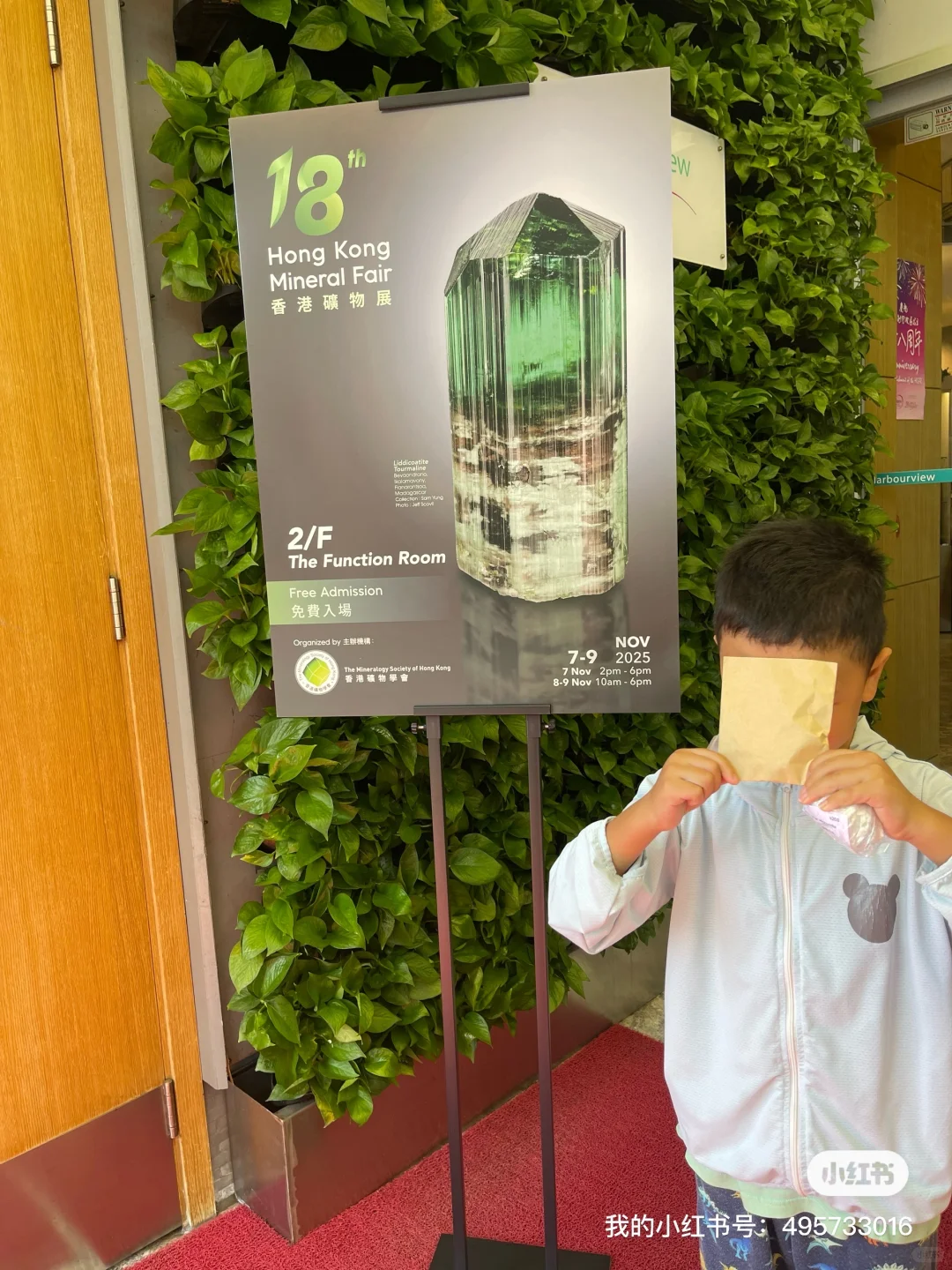 快閃香港礦物展~