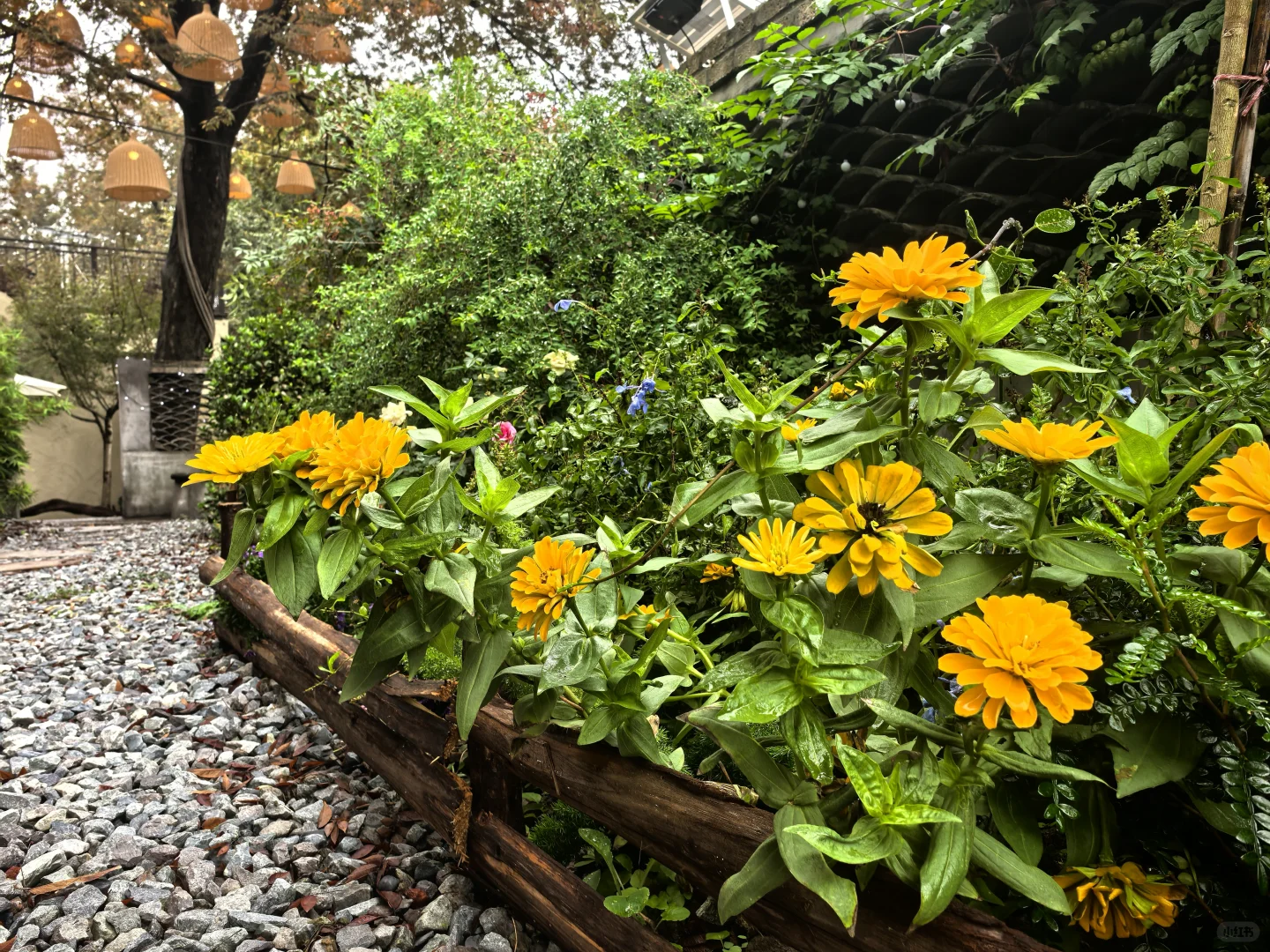 嘉兴周末休闲好去处—稻香窑烤面包