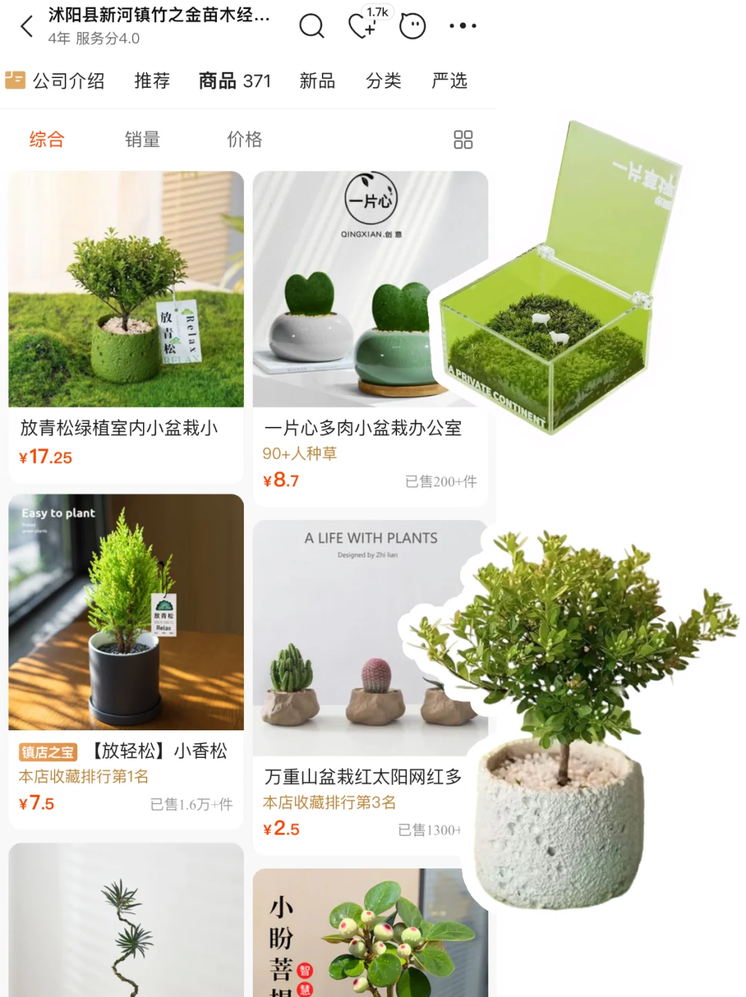 share|5⃣️家小众创意盆栽?货源店铺