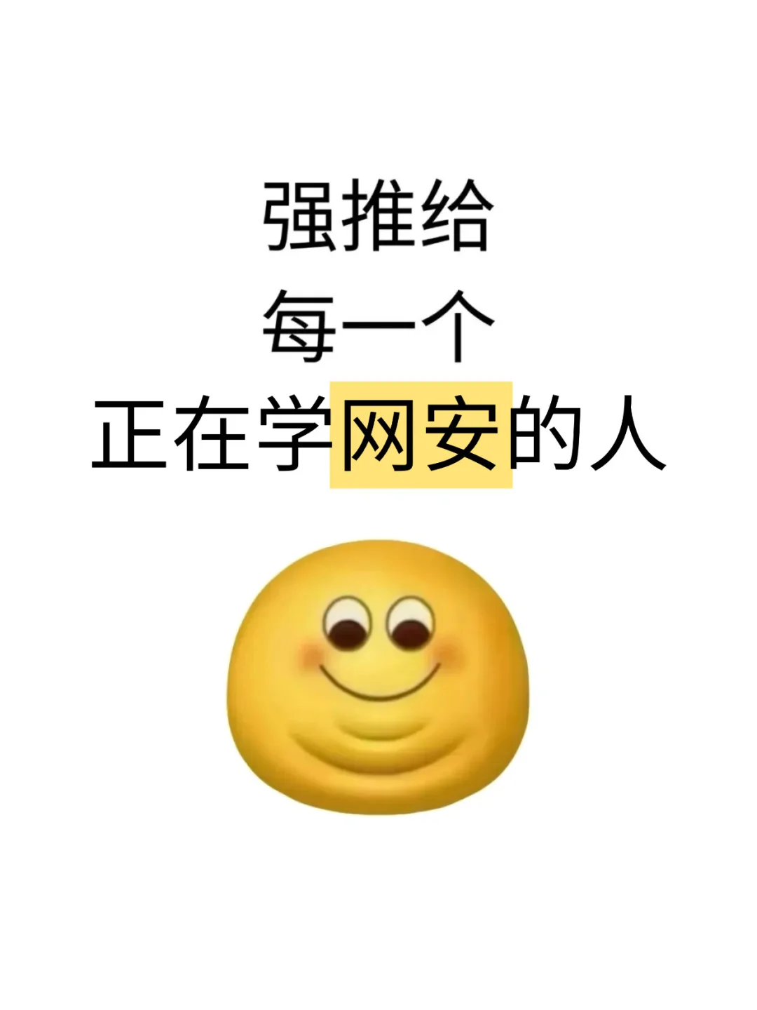 强推给每一个正在学网安的人……