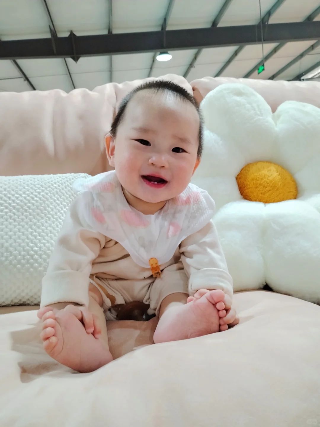 纽康特/星诺/太益启/纽太特,敏宝安心粮