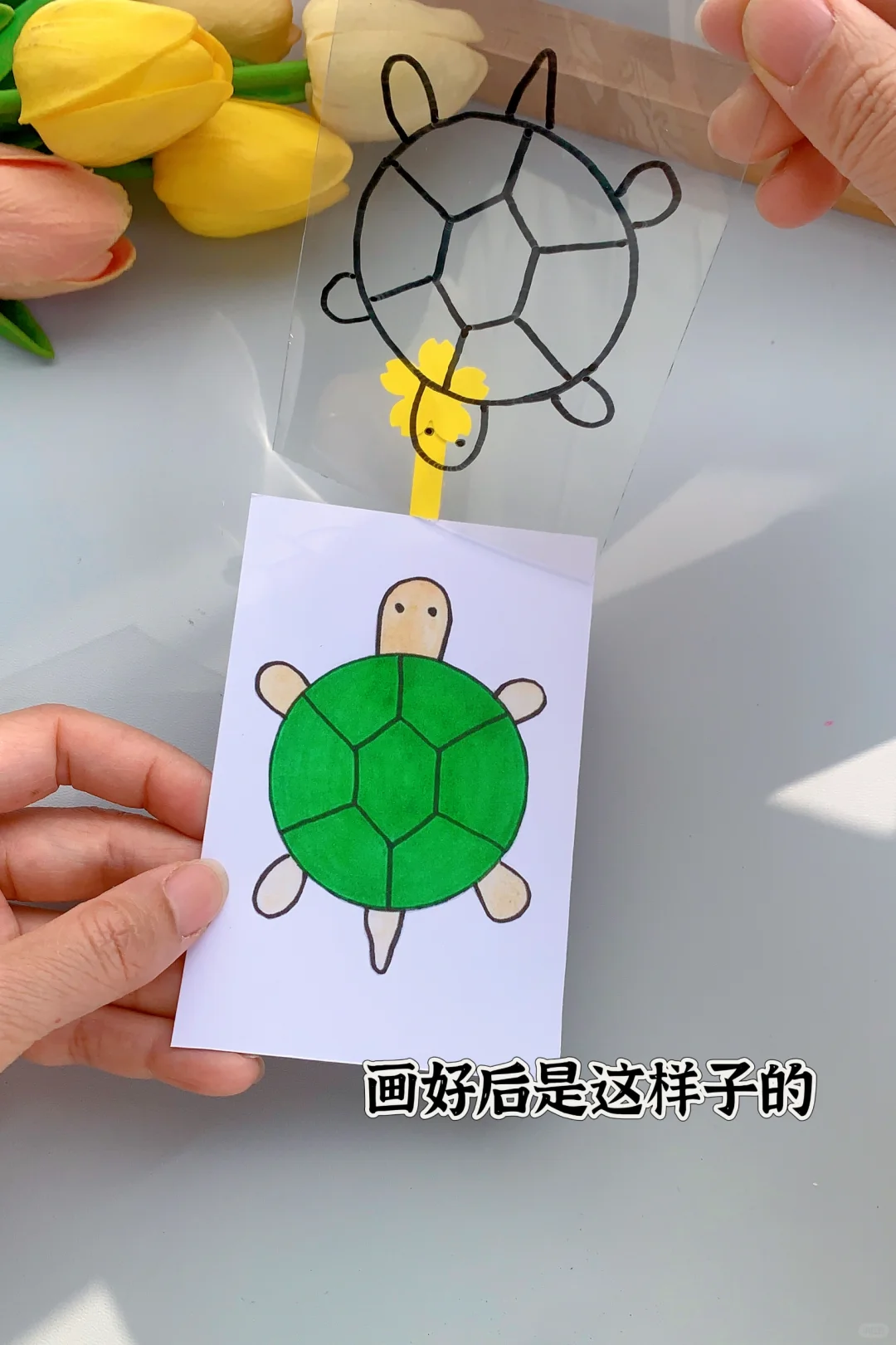 会变色的小乌龟，你会做了吗？#亲子手工#幼