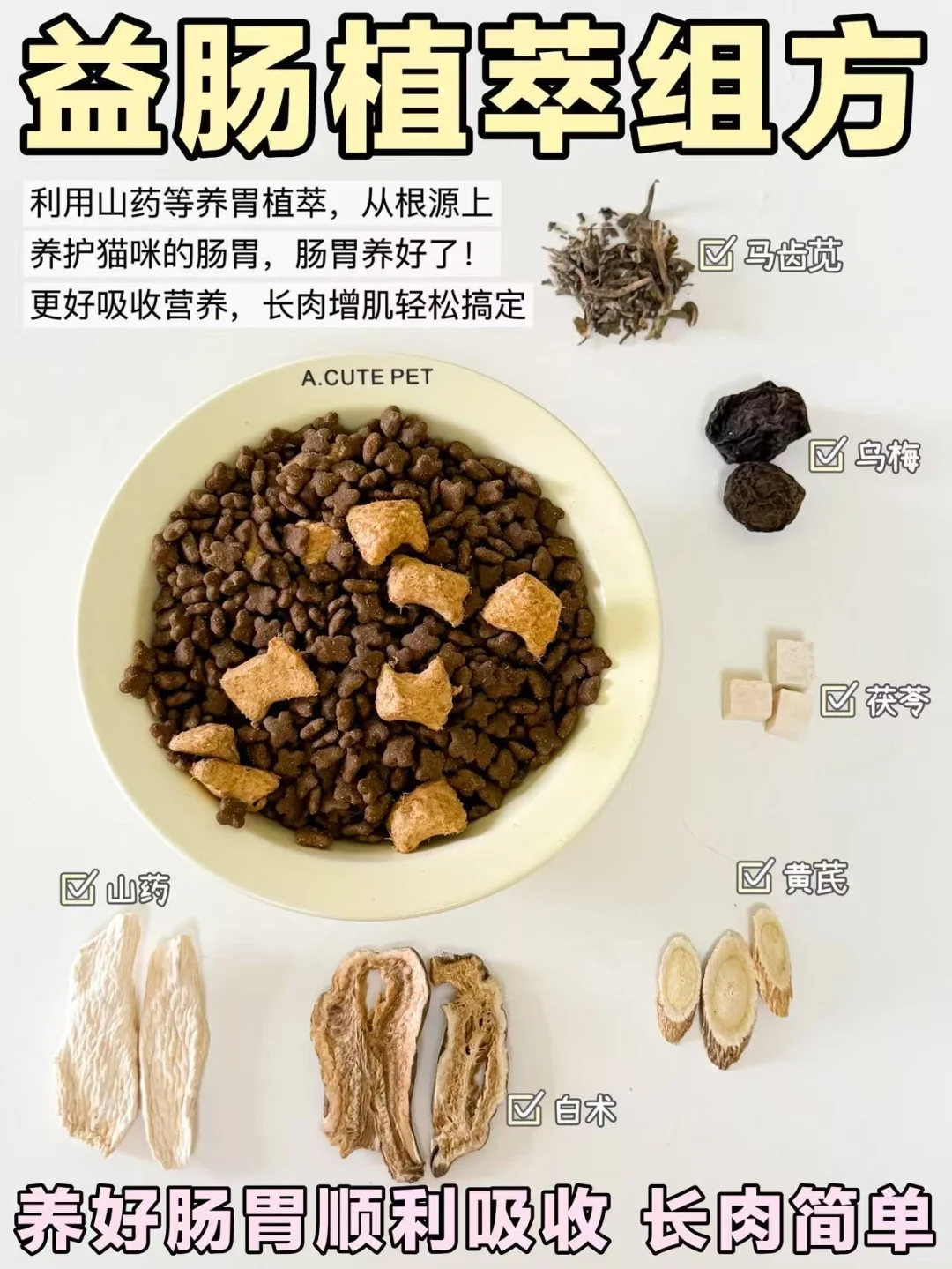 猫咪太瘦不好看❓两步让小猫轻松长肉发腮!