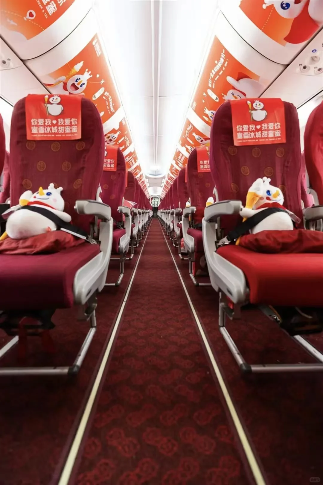 刚刚两架蜜雪冰城主题彩绘飞机首飞