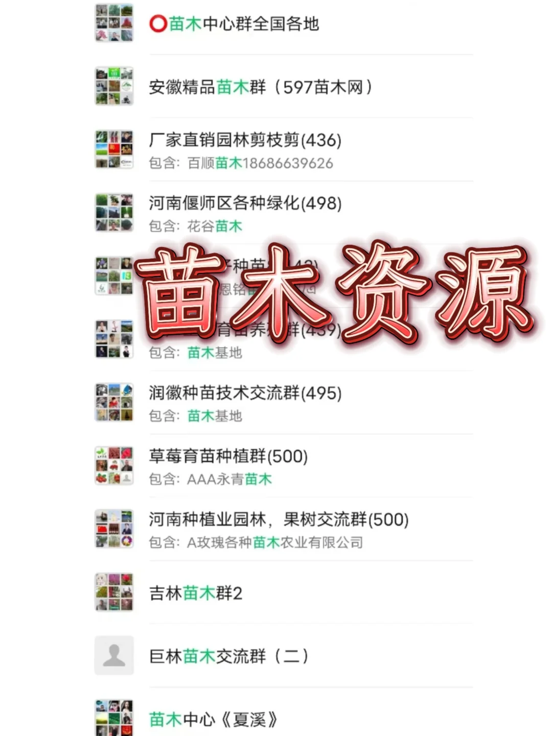 ?苗木人必存！超全资源裙汇总? 找苗/交流